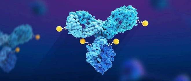 天下肿瘤日聚焦：AACR年会引领全球肿瘤新药趋势，，，国产药引领风潮