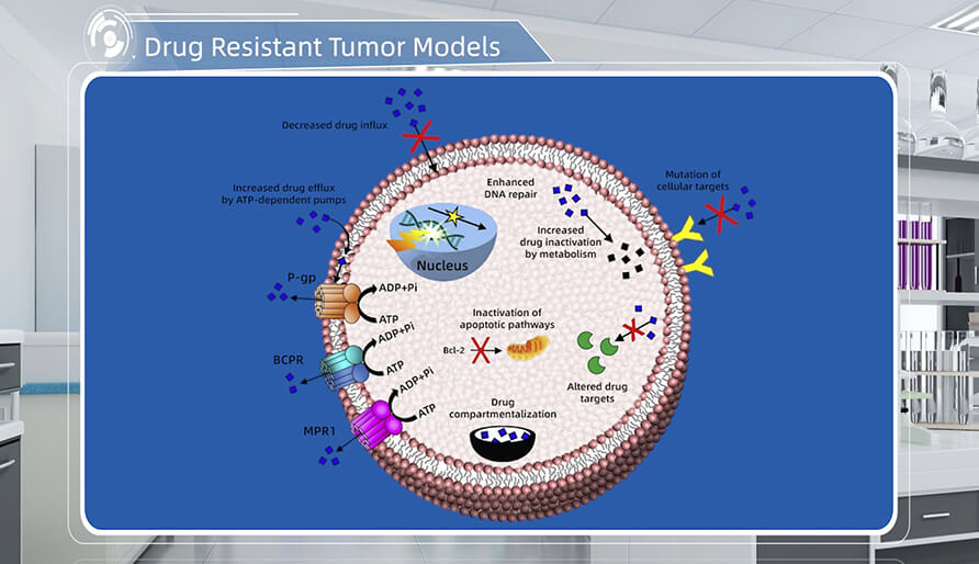 肿瘤耐药机制是什么？？