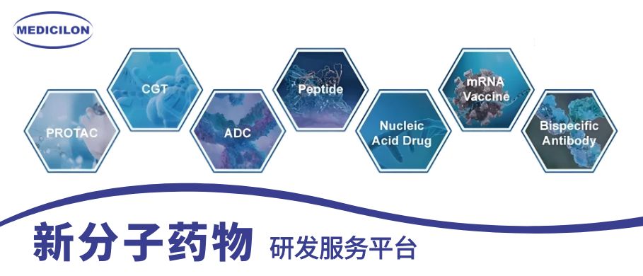 新宝GG新分子药物研发服务平台