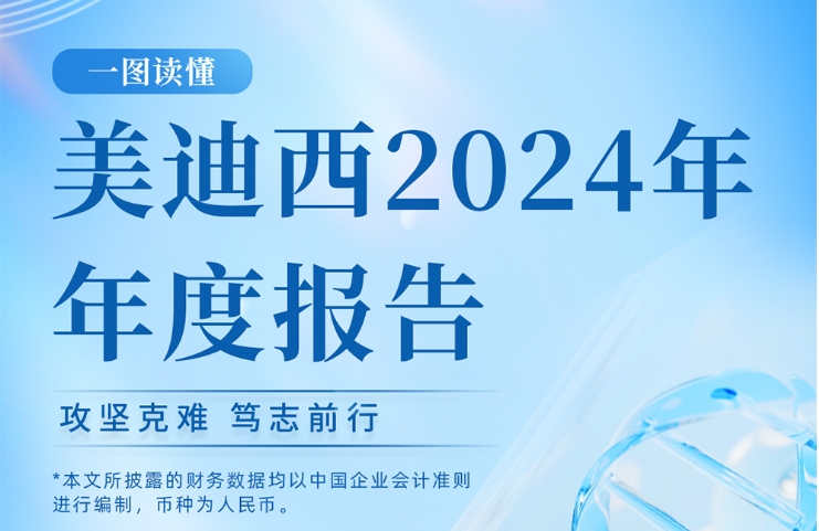 新宝GG2024年年度报告