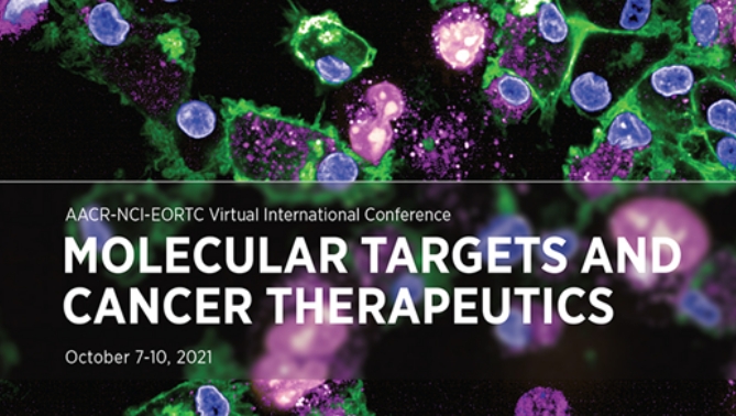 通过联合治疗提高免疫疗法疗效，，，本研究中临床前体内药效研究通过新宝GG举行