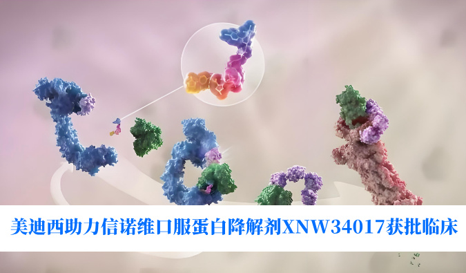 新宝GG助力相助同伴信诺维口服卵白降解剂XNW34017获批临床