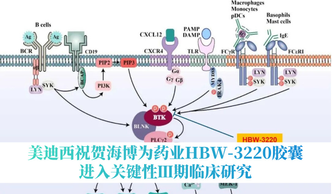 破解耐药性难题，，，，，新宝GG祝贺海博为药业HBW-3220胶囊进入要害性Ⅲ期临床研究