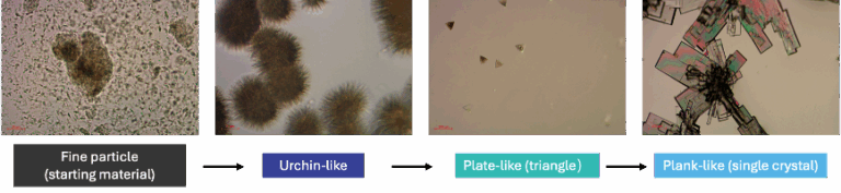 晶体形式.png