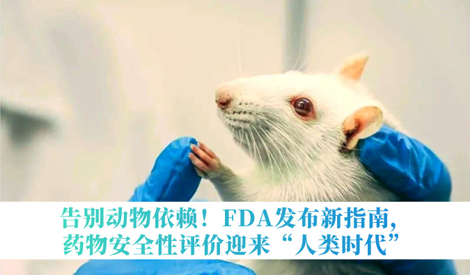 离别动物依赖！FDA宣布新指南，，药物清静性评价迎来“人类时代”
